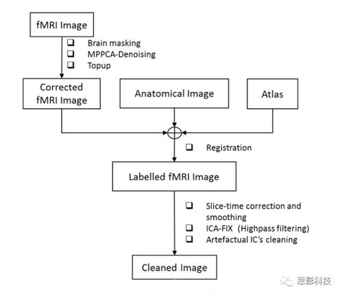 思影科技嚙齒類動物神經(jīng)影像數(shù)據(jù)處理業(yè)務(wù)流程圖6個圖例詳解